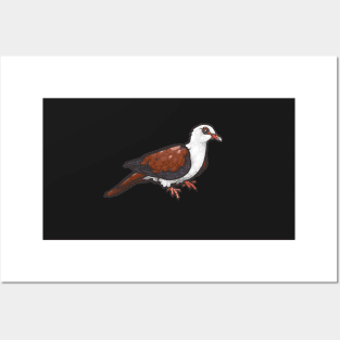 Great Cuckoo-Dove Posters and Art